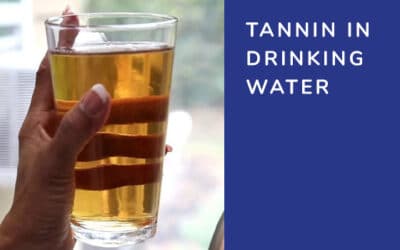 Tannin in Drinking Water